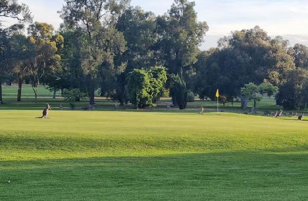 达博高尔夫俱乐部 - 全国335座高尔夫球场实时预订-高球爱好者一站式订场平台