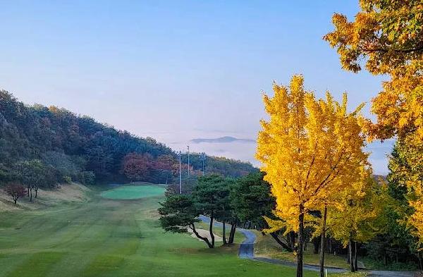 1俱乐部新罗乡村俱乐部 - undefined