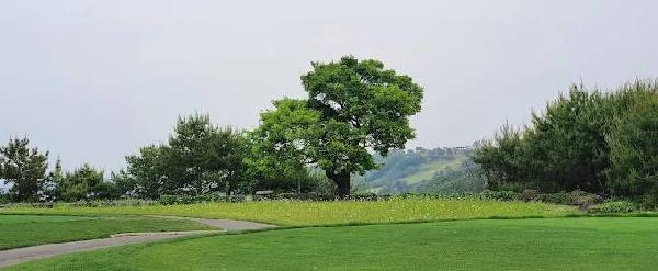 菲利斯乡村俱乐部维瓦尔第公园西球场 - undefined