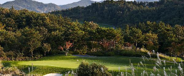 雪海园乡村俱乐部(黄金海滩) - undefined