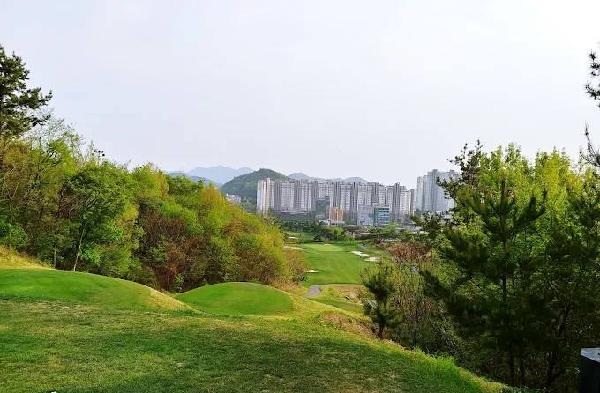 顺天宝英乡村俱乐部 - undefined