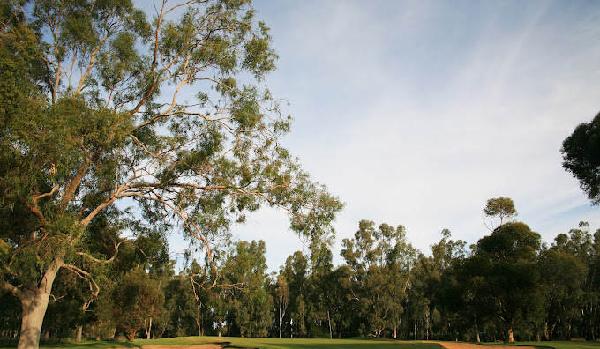 托克姆沃尔俱乐部 - 星际高球联盟-中国精英人士高尔夫旅游度假实景