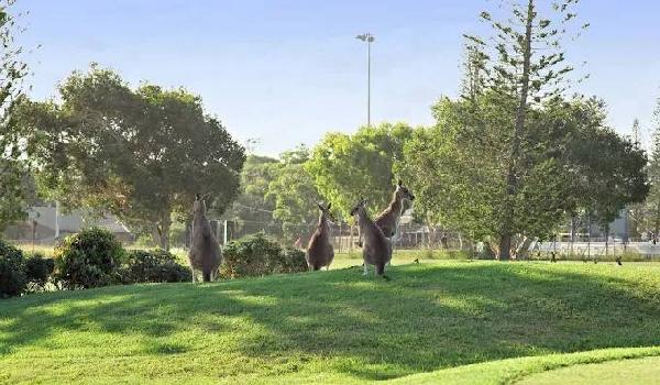 扬巴高尔夫乡村俱乐部 - 高尔夫1球1晚特惠套票-星际高球联盟精选旅游套餐