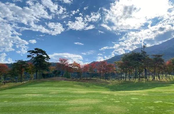 高尔夫球场顺天 - undefined