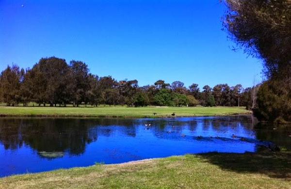 橡树角高尔夫俱乐部 - 海口观澜湖高尔夫球场预订-海南高尔夫旅游攻略推荐
