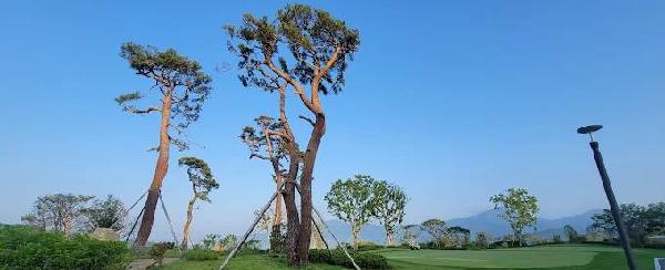 咸平维希尔乡村俱乐部 - 全国335座高尔夫球场实时预订-高球爱好者一站式订场平台