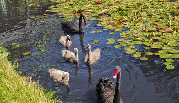 橡树角高尔夫俱乐部 - 阳江保利银滩高尔夫套票-海滨高尔夫旅游1球1晚套餐