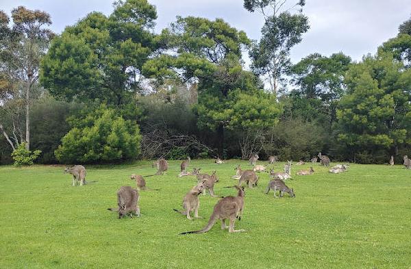 帕姆布拉梅林布拉高尔夫俱乐部 - 星际高球联盟-中国精英人士高尔夫旅游度假实景
