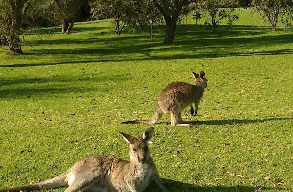 帕姆布拉梅林布拉高尔夫俱乐部 - 深圳观澜湖高尔夫订场服务-广东专业高尔夫预订平台