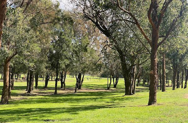 橡树角高尔夫俱乐部 - 星际高球联盟-中国精英人士高尔夫旅游度假实景