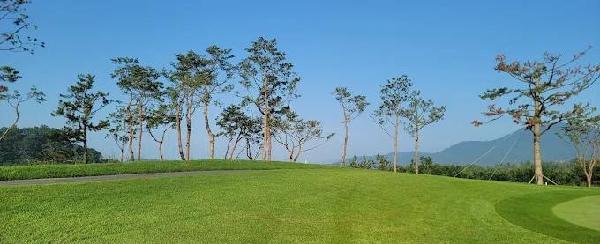 咸平维希尔乡村俱乐部 - undefined