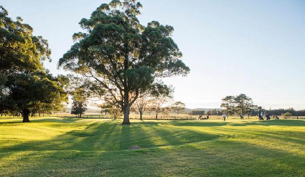 格兰奇高尔夫俱乐部 - 海口观澜湖高尔夫球场预订-海南高尔夫旅游攻略推荐