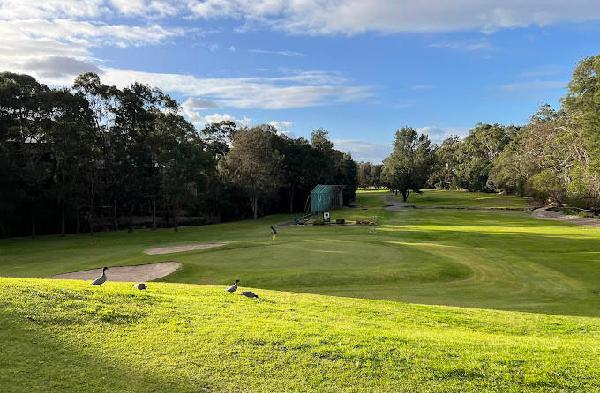 卡里拉高尔夫俱乐部 - 星际高球联盟-中国精英人士高尔夫旅游度假实景