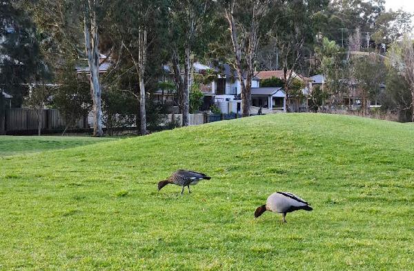 卡里拉高尔夫俱乐部 - 海口观澜湖高尔夫球场预订-海南高尔夫旅游攻略推荐