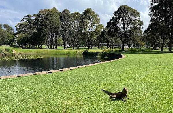 伍卢瓦高尔夫俱乐部 - 星际高球联盟-中国精英人士高尔夫旅游度假实景