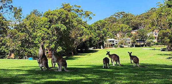 尼尔森湾高尔夫俱乐部 - 海口观澜湖高尔夫球场预订-海南高尔夫旅游攻略推荐