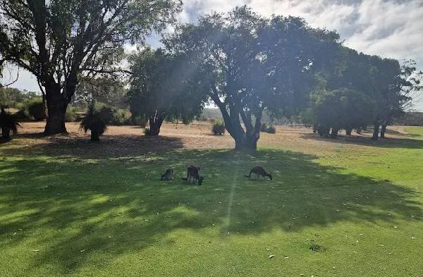 太阳城乡村俱乐部 - 深圳观澜湖高尔夫订场服务-广东专业高尔夫预订平台