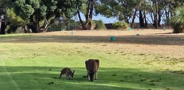太阳城乡村俱乐部 - 星际高球联盟-中国精英人士高尔夫旅游度假实景