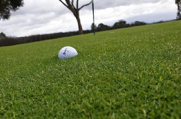 加菲尔德高尔夫俱乐部 - undefined