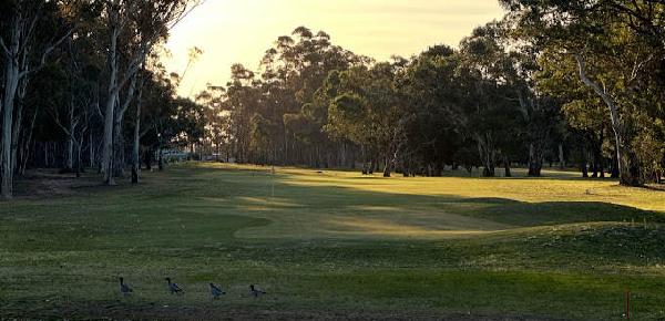 班诺克本高尔夫俱乐部 - 星际高球联盟-中国精英人士高尔夫旅游度假实景