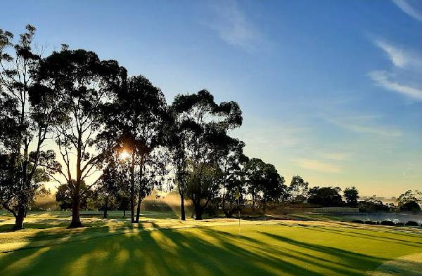 加菲尔德高尔夫俱乐部 - 深圳观澜湖高尔夫订场服务-广东专业高尔夫预订平台
