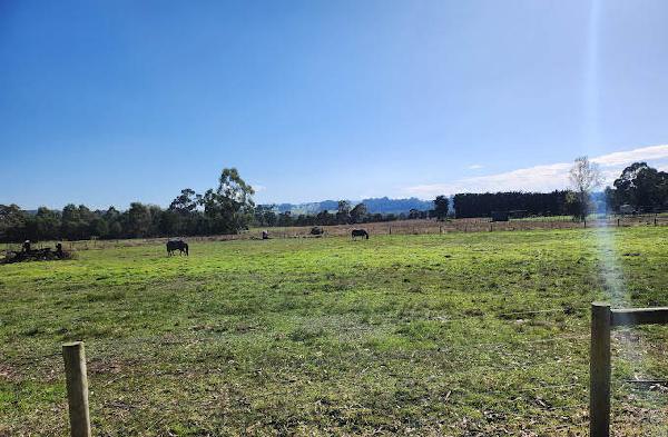 加菲尔德高尔夫俱乐部 - 高尔夫1球1晚特惠套票-星际高球联盟精选旅游套餐