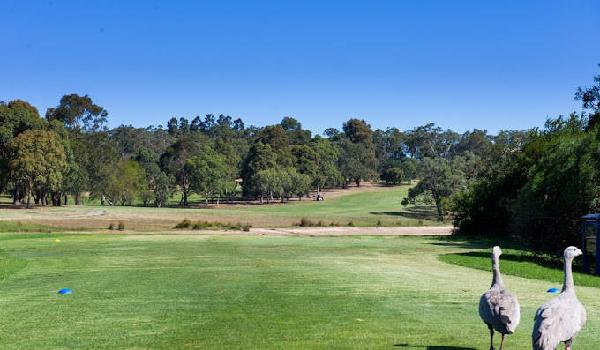 魔鬼湾高尔夫俱乐部 - 高尔夫1球1晚特惠套票-星际高球联盟精选旅游套餐