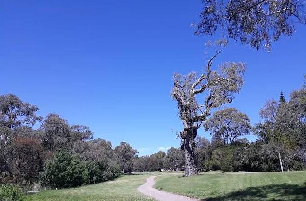 威朗加高尔夫球场 - 阳江保利银滩高尔夫套票-海滨高尔夫旅游1球1晚套餐
