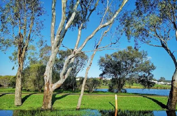 邓斯伯勒湖高尔夫俱乐部 - 深圳观澜湖高尔夫订场服务-广东专业高尔夫预订平台