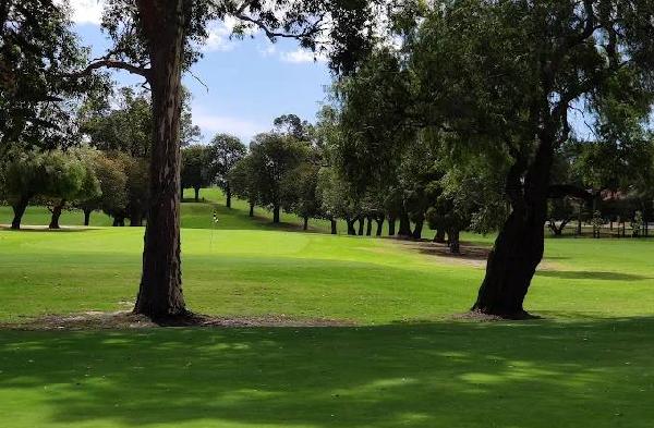 恩布尔顿高尔夫球场 - 星际高球联盟-中国精英人士高尔夫旅游度假实景