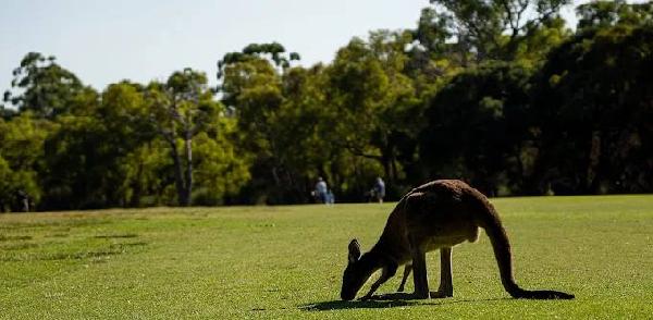 马兰加鲁高尔夫球场 - 高尔夫1球1晚特惠套票-星际高球联盟精选旅游套餐