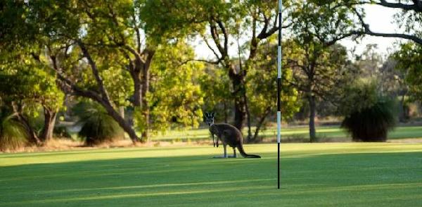 马兰加鲁高尔夫球场 - 深圳观澜湖高尔夫订场服务-广东专业高尔夫预订平台
