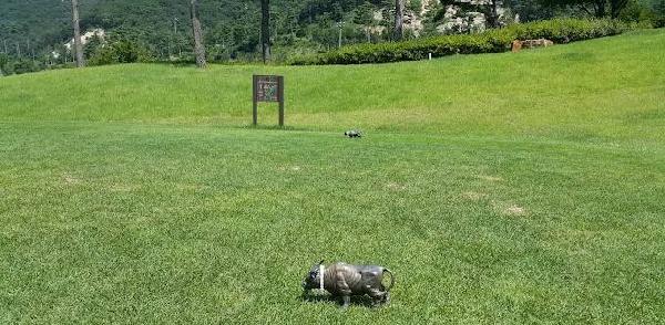 智能堪萨斯大学高尔夫球馆 - 阳江保利银滩高尔夫套票-海滨高尔夫旅游1球1晚套餐