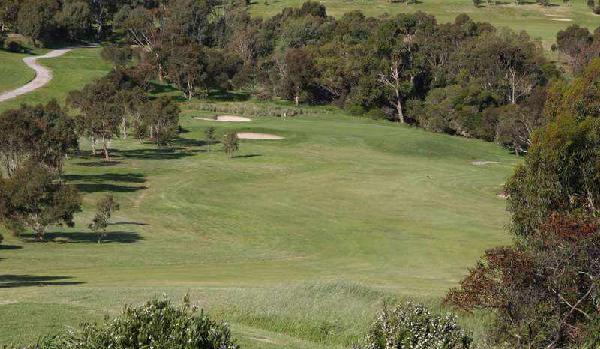 新特里威里纳湾高尔夫球场 - undefined