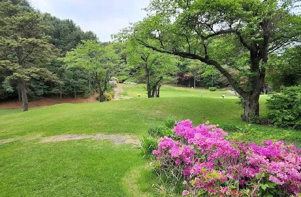 杨吉松乡村俱乐部 - 深圳观澜湖高尔夫订场服务-广东专业高尔夫预订平台