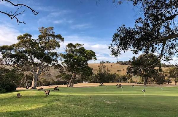 新特里威里纳湾高尔夫球场 - 海口观澜湖高尔夫球场预订-海南高尔夫旅游攻略推荐