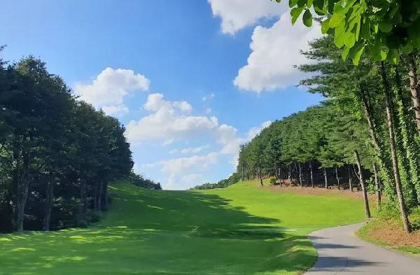 杨吉松乡村俱乐部 - undefined