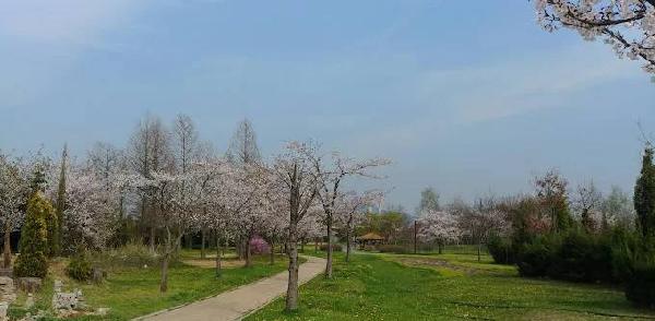 梦幻公园乡村俱乐部 - 深圳观澜湖高尔夫订场服务-广东专业高尔夫预订平台