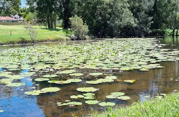 帕克伍德国际高尔夫球场 - 高尔夫1球1晚特惠套票-星际高球联盟精选旅游套餐