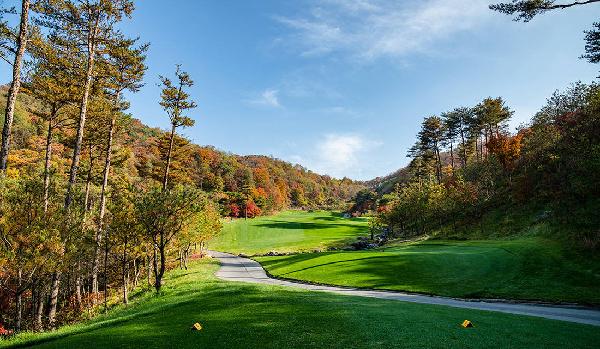 中心乡村俱乐部 - 阳江保利银滩高尔夫套票-海滨高尔夫旅游1球1晚套餐