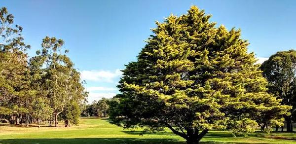 图文巴高尔夫俱乐部 - 海口观澜湖高尔夫球场预订-海南高尔夫旅游攻略推荐