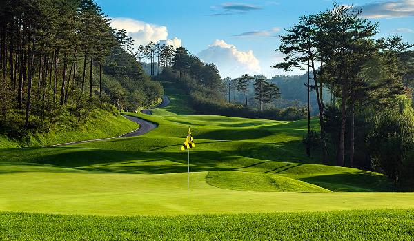 中心乡村俱乐部 - undefined