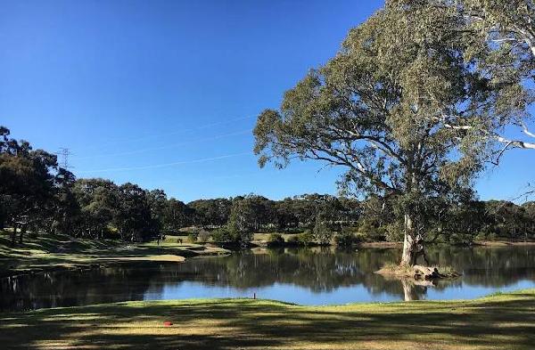 弗拉格斯塔夫山高尔夫俱乐部 - 海口观澜湖高尔夫球场预订-海南高尔夫旅游攻略推荐