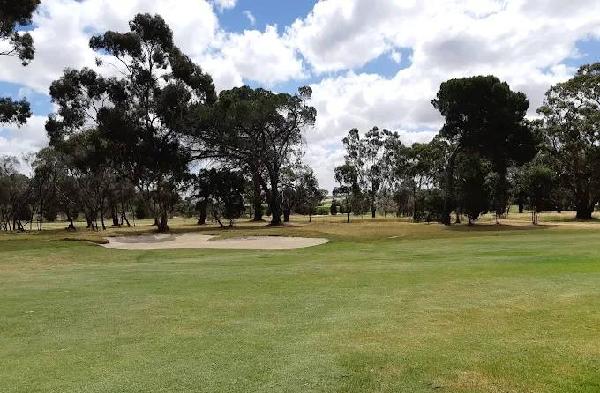 塔努达松树高尔夫俱乐部 - 星际高球联盟-中国精英人士高尔夫旅游度假实景