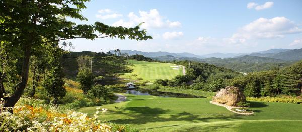 森林山乡村俱乐部 - undefined