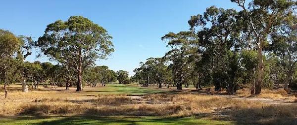 塔努达松树高尔夫俱乐部 - 阳江保利银滩高尔夫套票-海滨高尔夫旅游1球1晚套餐