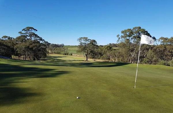 塔努达松树高尔夫俱乐部 - 深圳观澜湖高尔夫订场服务-广东专业高尔夫预订平台