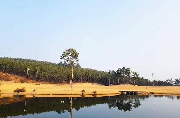 塞拉吉奥乡村俱乐部 - 阳江保利银滩高尔夫套票-海滨高尔夫旅游1球1晚套餐