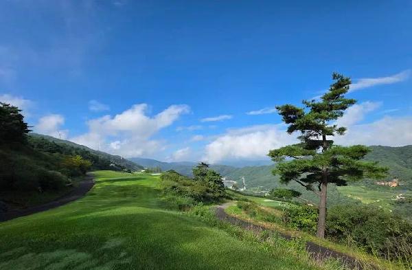 居昌D俱乐部 - 星际高球联盟-中国精英人士高尔夫旅游度假实景