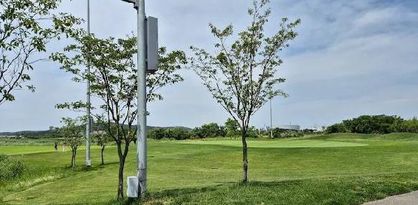 皇家林克斯乡村俱乐部 - 星际高球联盟-中国精英人士高尔夫旅游度假实景